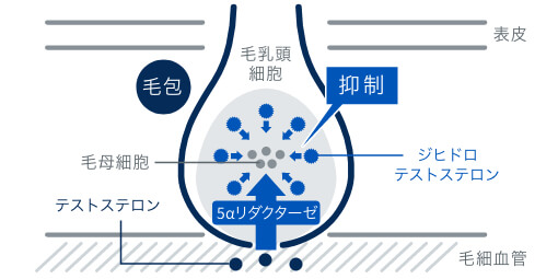 中国のインポテンス医学